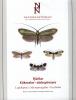 Fjärilar: Käkmalar - säkspinnare