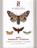 Fjärilar: Ädelspinnare - tofsspinnare